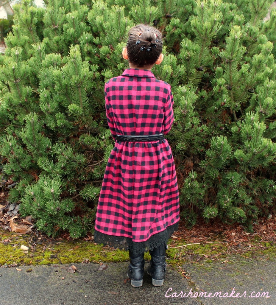 Flannel Dress 2