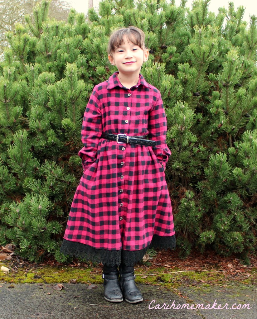 Flannel Dress 3