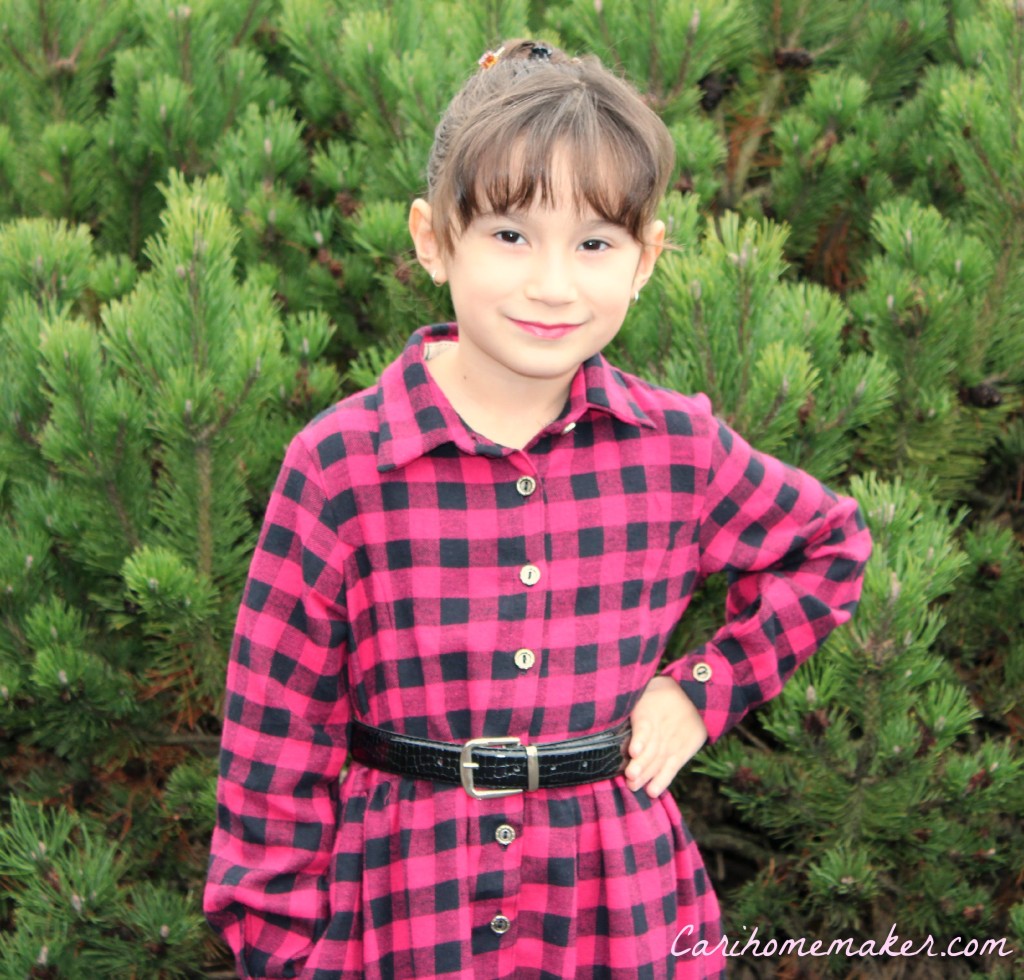 Flannel Dress 4