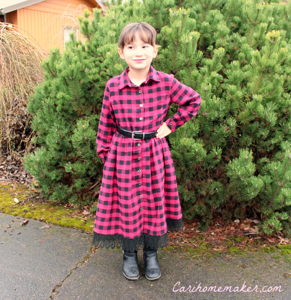 Flannel Dress 6